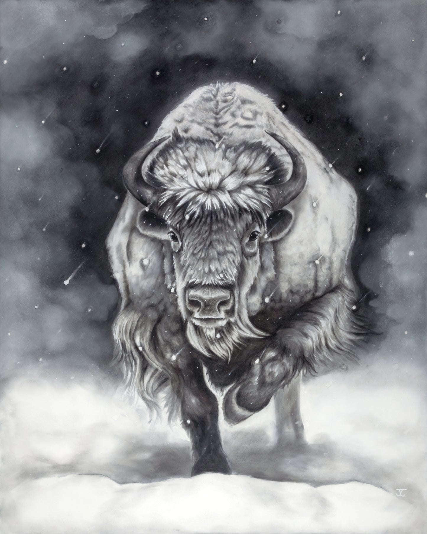 "Into the Storm" - Bison