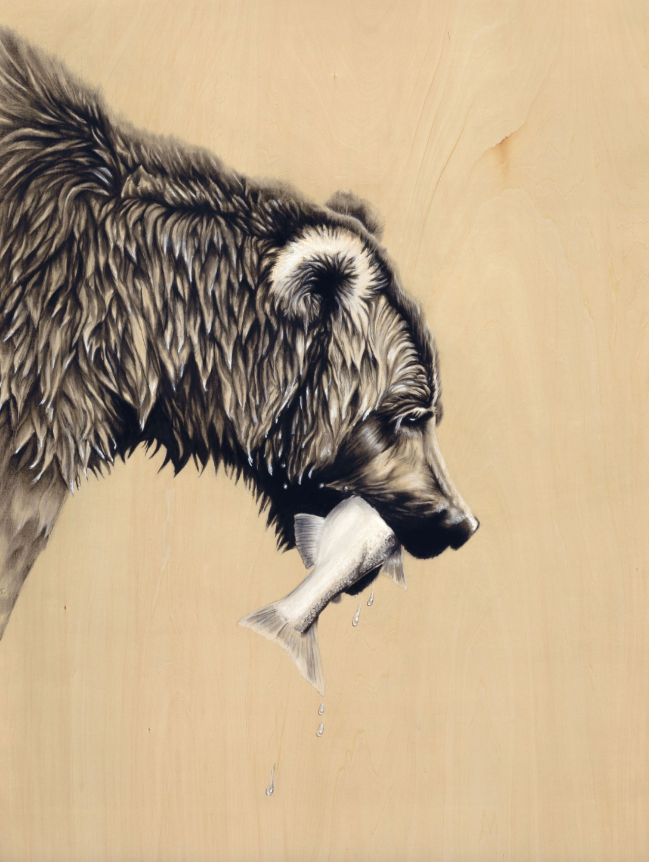 Provider's Burden - Digital Print