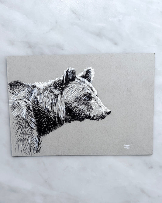 Bear - Sketch