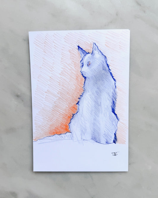 Cat- Sketch
