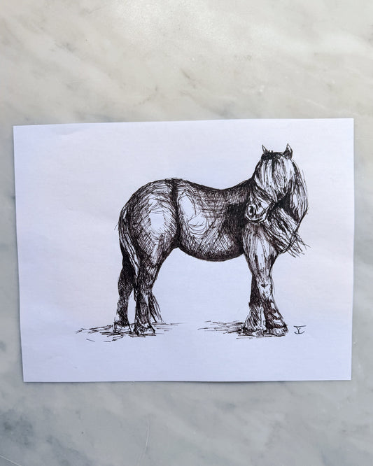 Horse - Sketch