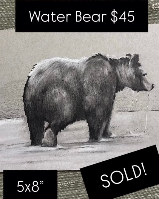 Water Bear